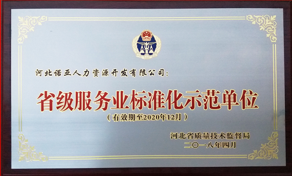 喜報|河北諾亞獲評省級服務(wù)業(yè)標準化示范單位