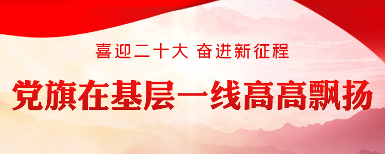 黨旗在基層一線(xiàn)高高飄揚